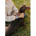 CUTIE PUPPY 🐶 Montre enfant motif chiot CUTIE PUPPY 🐶 Montre enfant motif chiot