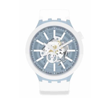 SWATCH WHICE